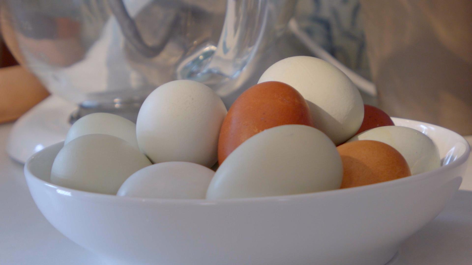 The Incredible Egg Washer  Incredible eggs, Chicken eggs, Farm fresh eggs