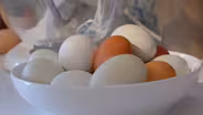Preview | The Egg Comes First