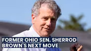 Former Ohio Sen. Sherrod Brown’s Next Move