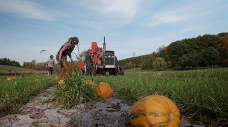 Video thumbnail: Around the Farm Table Prairie Farm Pumpkin Harvest