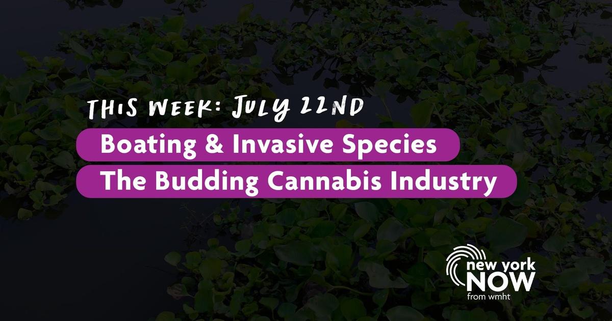 New York NOW | Spread of Invasive Species, the Budding Cannabis Industry | Season 2022 | Episode 29