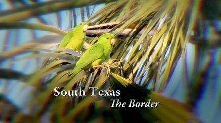 Video thumbnail: Expeditions with Patrick McMillan South Texas – The Border