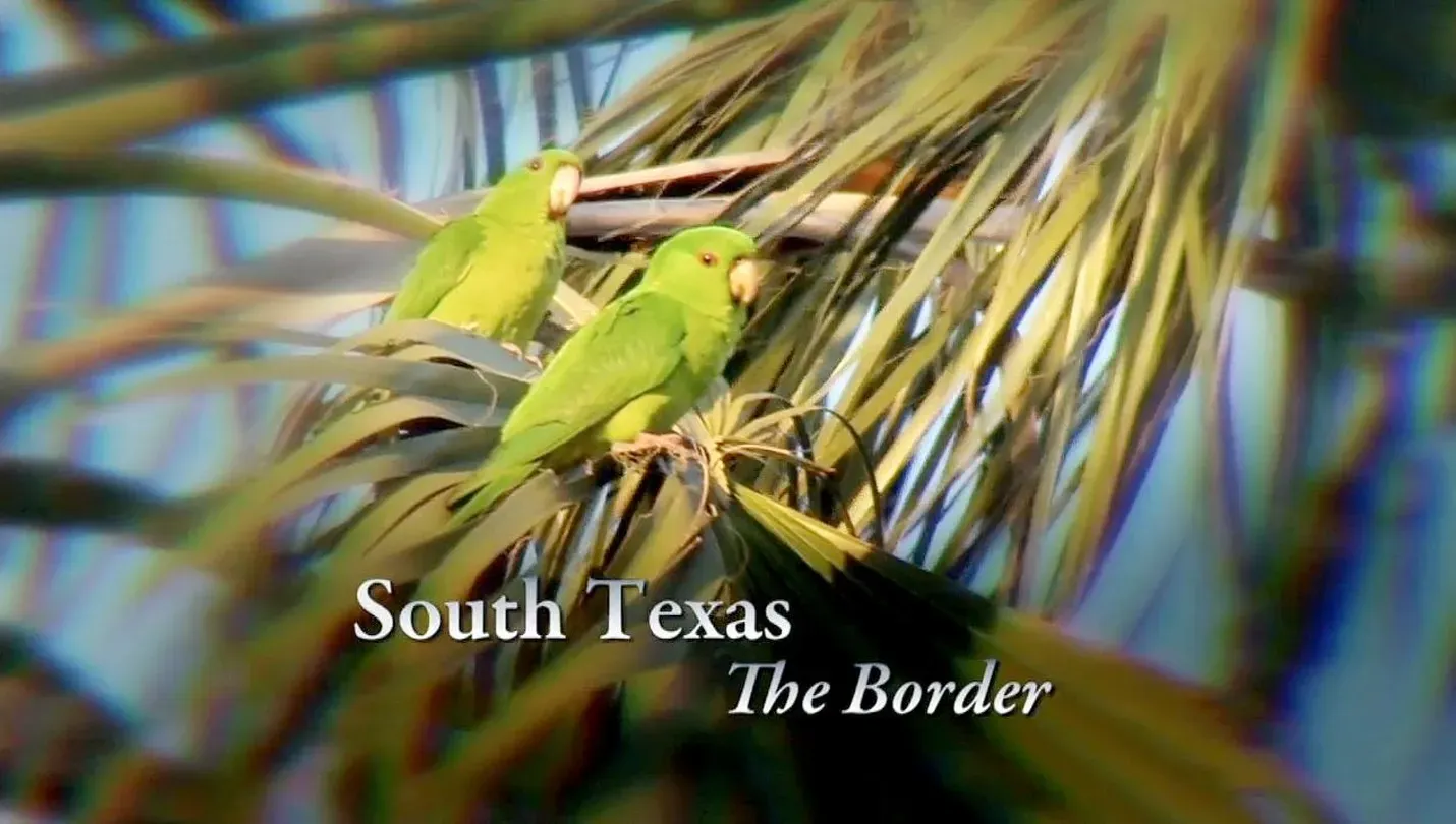 South Texas – The Border
