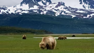 Katmai, Alaska