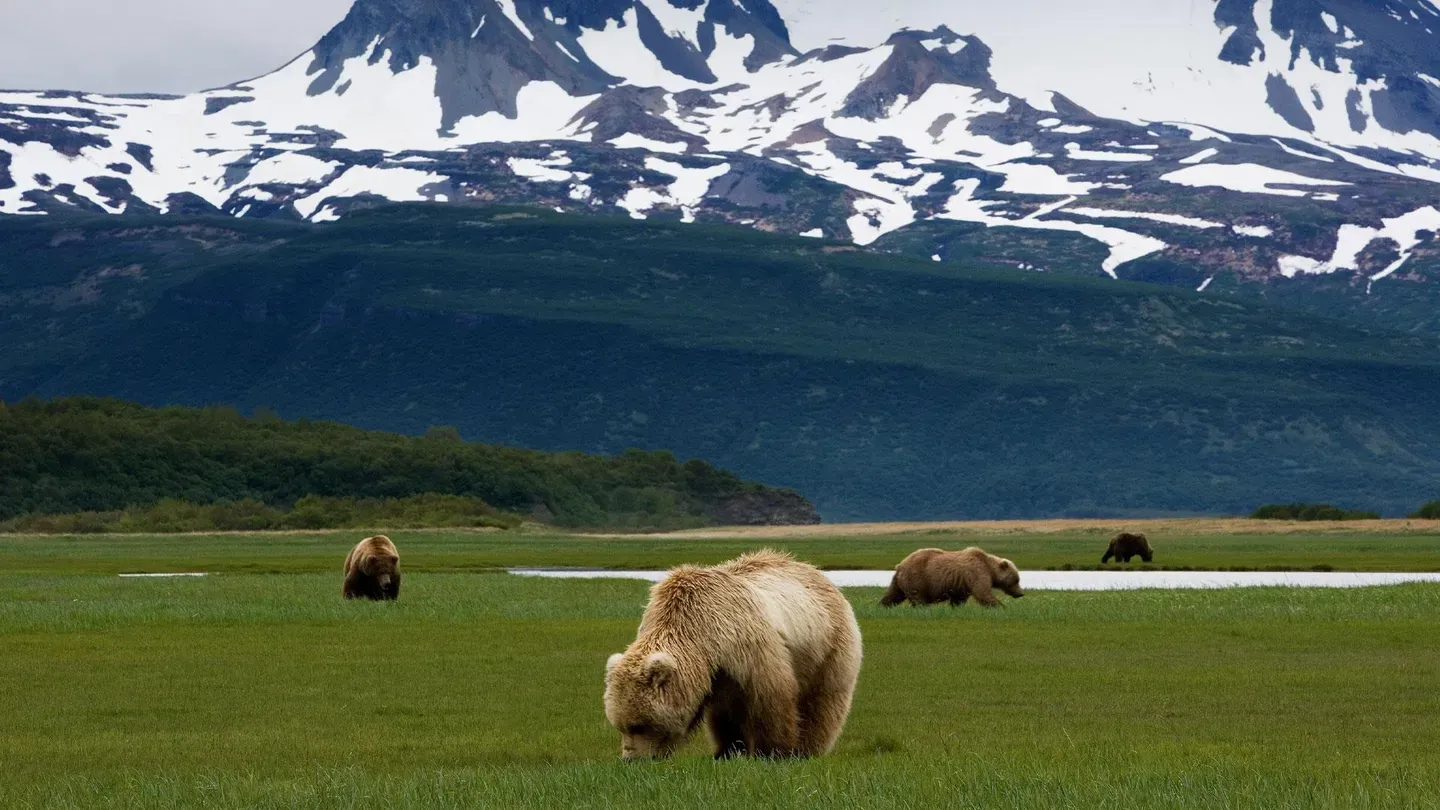 Katmai, Alaska