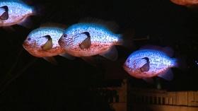 Video thumbnail: KLRN ARTS May 18, 2017 | Art on the Riverwalk