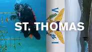 St. Thomas, USVI - Not Just a Rock