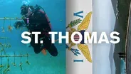 St. Thomas, USVI - Not Just a Rock