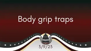 Body grip traps 3/9/23