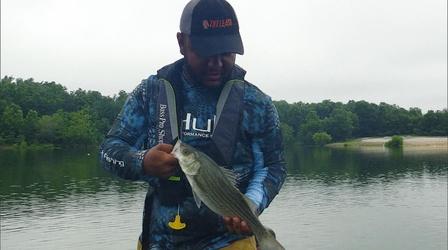 Video thumbnail: Kentucky Afield Collegian Angler; Deer Hunting Safety Tips; Dove Season