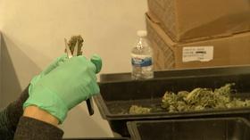 Video thumbnail: NJTV News Hurdles remain for legal marijuana as industry readies