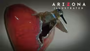 Gun smuggling & art