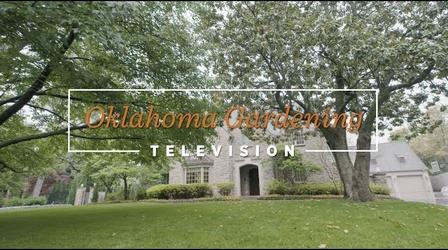 Video thumbnail: Oklahoma Gardening Oklahoma Gardening May 13,  2023