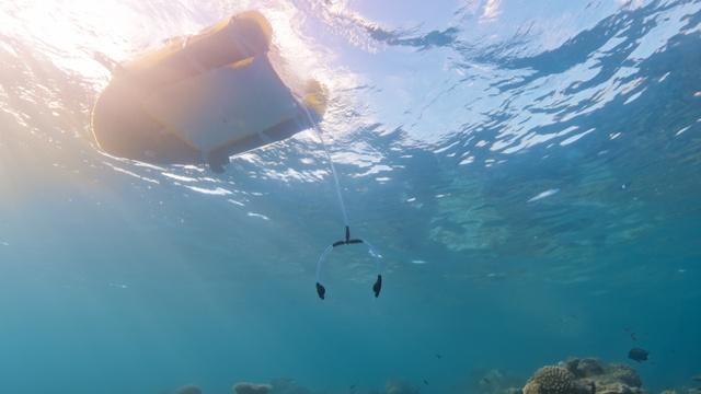 Floaty Boat: Precise Delivery for Coral Larvae