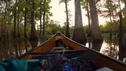 The Roanoke River Trail