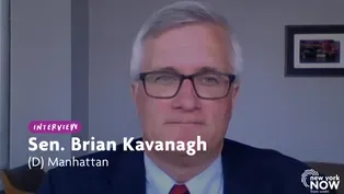 Sen. Brian Kavanagh on Potential Changes to Gun Laws