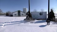 Wisconsin Farm Turns Manure into Energy