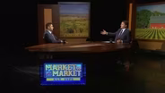 Cattle Market Questions Remain As Crop Size Guesses Shake Out