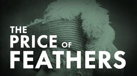 Video thumbnail: American Experience The Price of Feathers