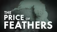 The Price of Feathers