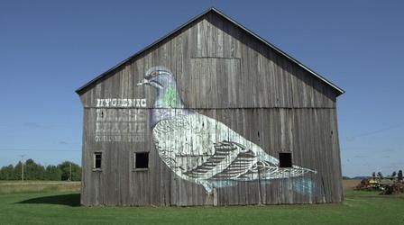 Video thumbnail: PBS NewsHour In rural Michigan, old barns become new art