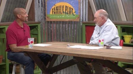 Video thumbnail: The Family Plot Pressure Canning Tomatoes & Pesticide Storage and Disposal