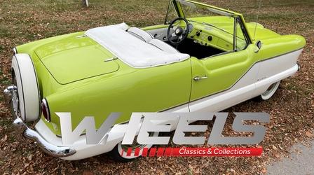 Video thumbnail: WHEELS Come and meet “Sweet Pea” and “Ziggy” the Metropolitans.