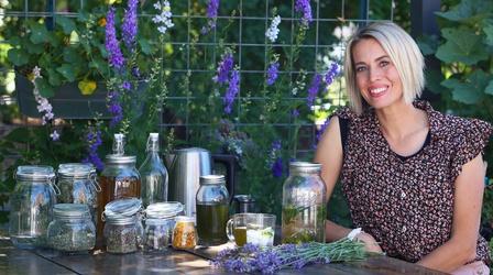 Video thumbnail: Modern Gardener Start an Herbal Tea Garden