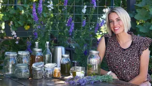 Start an Herbal Tea Garden