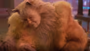 Dame Judi Dench and Laurie Davidson for "Cats"