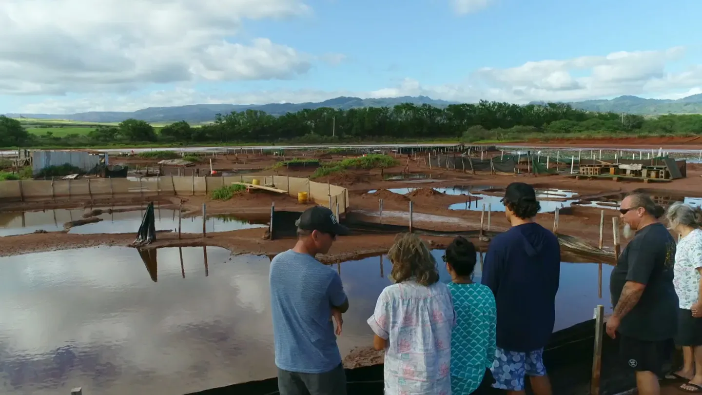 Kaua’i Pa’akai (Salt) Genealogy