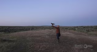 Preview of "The Art of Falconry"