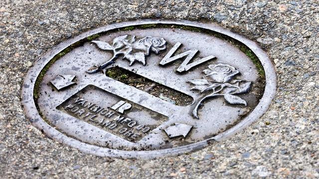 J Schwanke's Life In Bloom | Rose City