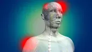 Pain Secrets: The Science of Everyday Pain