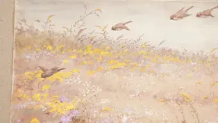 Appraisal: Fidelia Bridges Watercolor, ca. 1900