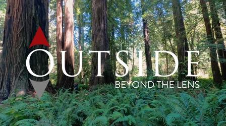 California North Coast Redwoods Trailer