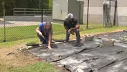 Planting Flowers in Mulch & Diseases of Annual Flowers