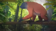 When Giant Lemurs Ruled Madagascar (ASL)