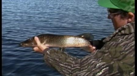 Video thumbnail: Rod & Reel Streamside Fishing Philosophy With a French Flair