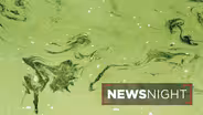 Blue-Green Algae Blooms Persist in Florida’s Waterways