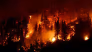 Wildfires Threaten Canada's Boreal Forest