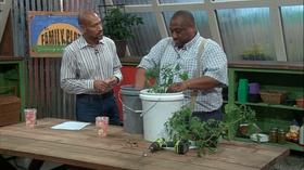 Video thumbnail: The Family Plot Bucket Gardening & Herbs