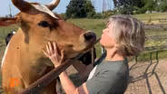 Places to visit in Michigan: Barn Sanctuary, Pewabic, Southwest Detroit, Baobab Fare