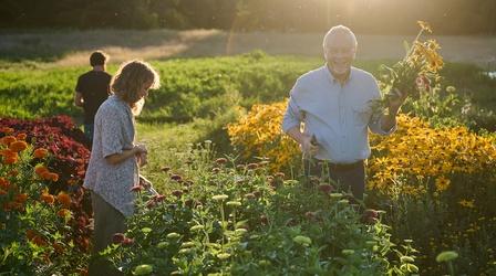 Video thumbnail: J Schwanke’s Life In Bloom Herbs in Bloom