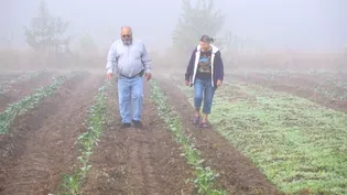 How an Indigenous family farm uses ancient farming practices