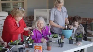 Green House Homes: A New Approach to Living Space for Older