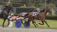 Historic Freehold racetrack is closing