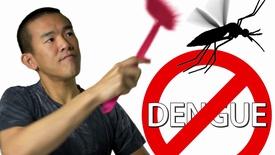 Mosquitoes Might SAVE Lives, Thanks To Bacteria: asset-mezzanine-16x9