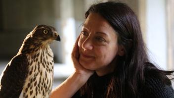 Nature: The World's Most Wanted Animal Nature: The World's Most Wanted Animal
