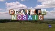 Prairie Mosaic 202